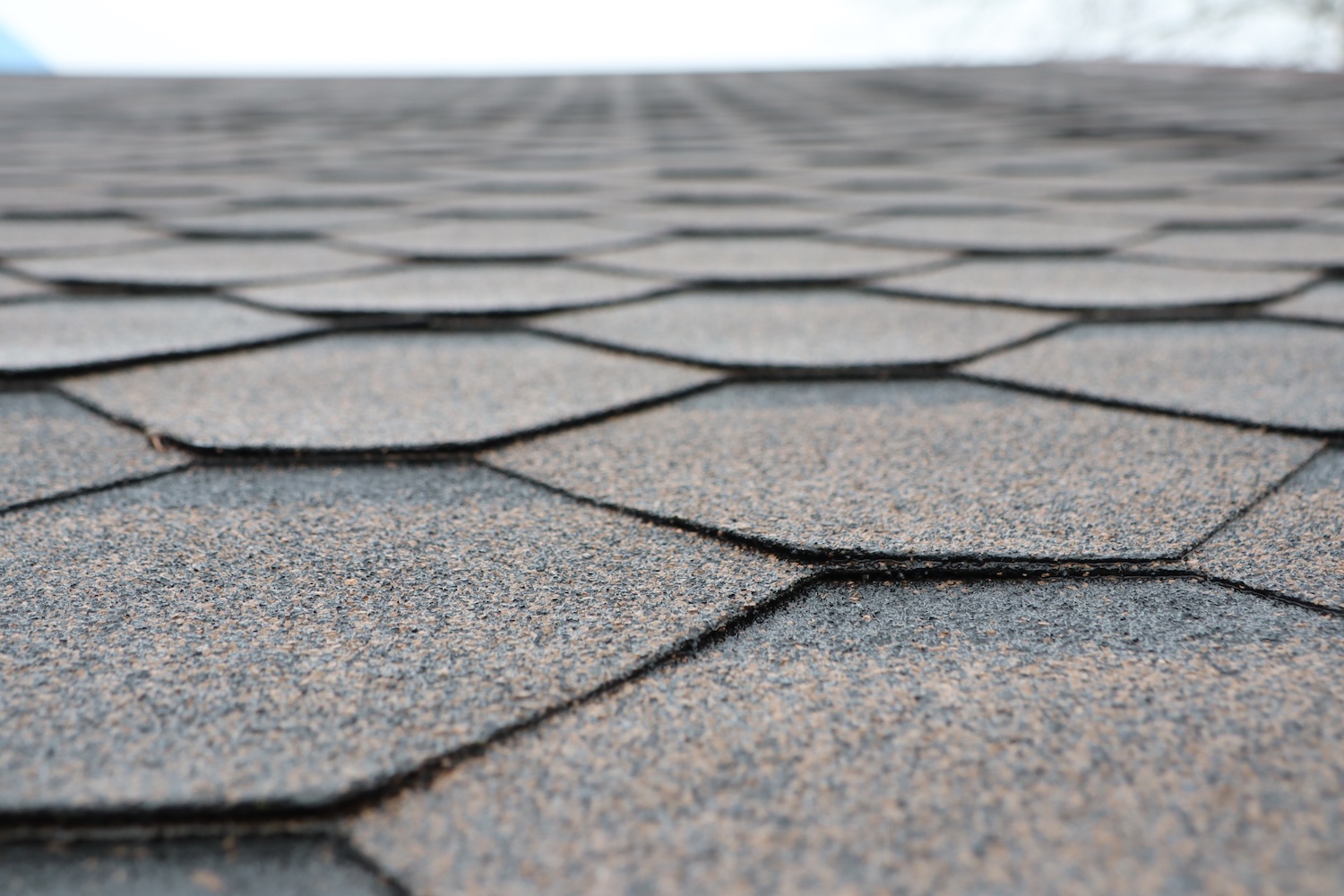 Roofing Contractors