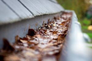 Clogged gutters overflowing near roof and siding on a Washington home