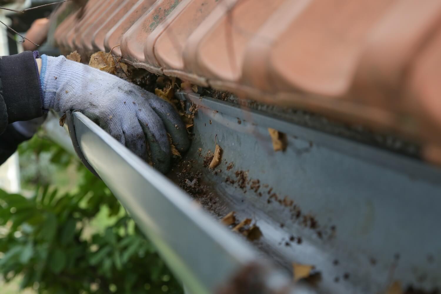 Sagging gutters pulling away from a Washington home roofline