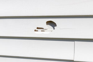 House Siding Repair Kirkland Bellevue &Eastside